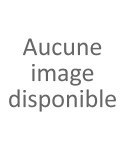 Informatique & High-Tech